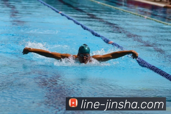 澳门金沙官网平台生态图